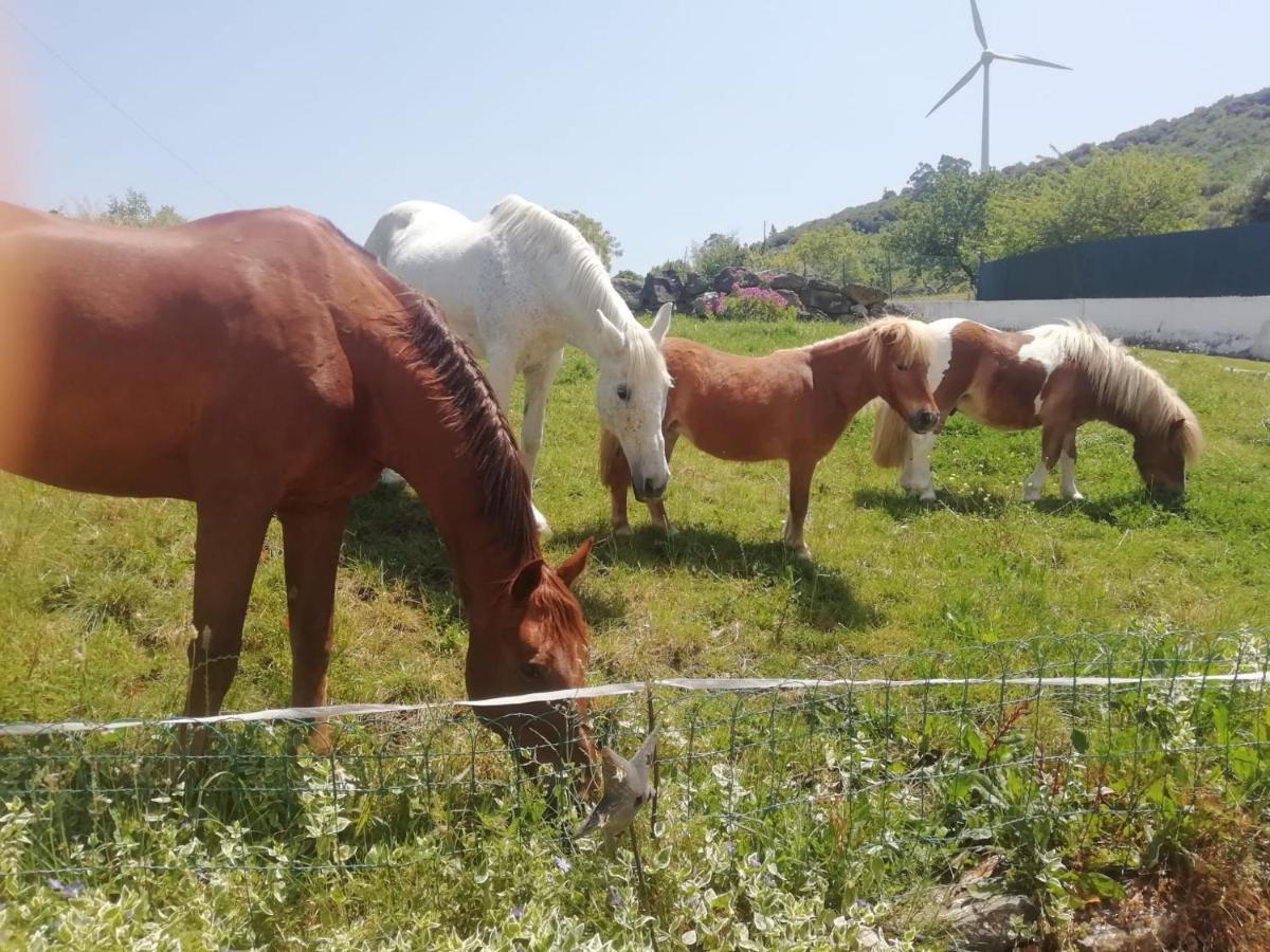 Casinha De Ferias No Campo - Quintinha Dos Cavalos - Arruda Dos Vinhos Sabugos 외부 사진