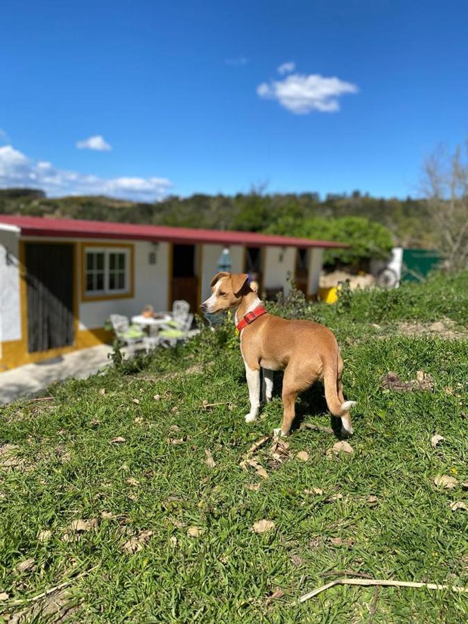 Casinha De Ferias No Campo - Quintinha Dos Cavalos - Arruda Dos Vinhos Sabugos 외부 사진