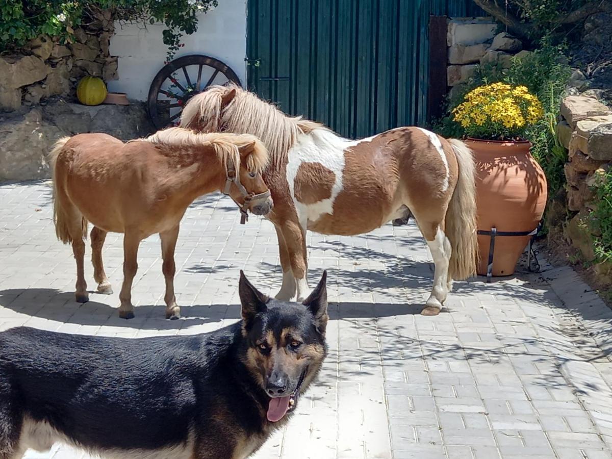 Casinha De Ferias No Campo - Quintinha Dos Cavalos - Arruda Dos Vinhos Sabugos 외부 사진
