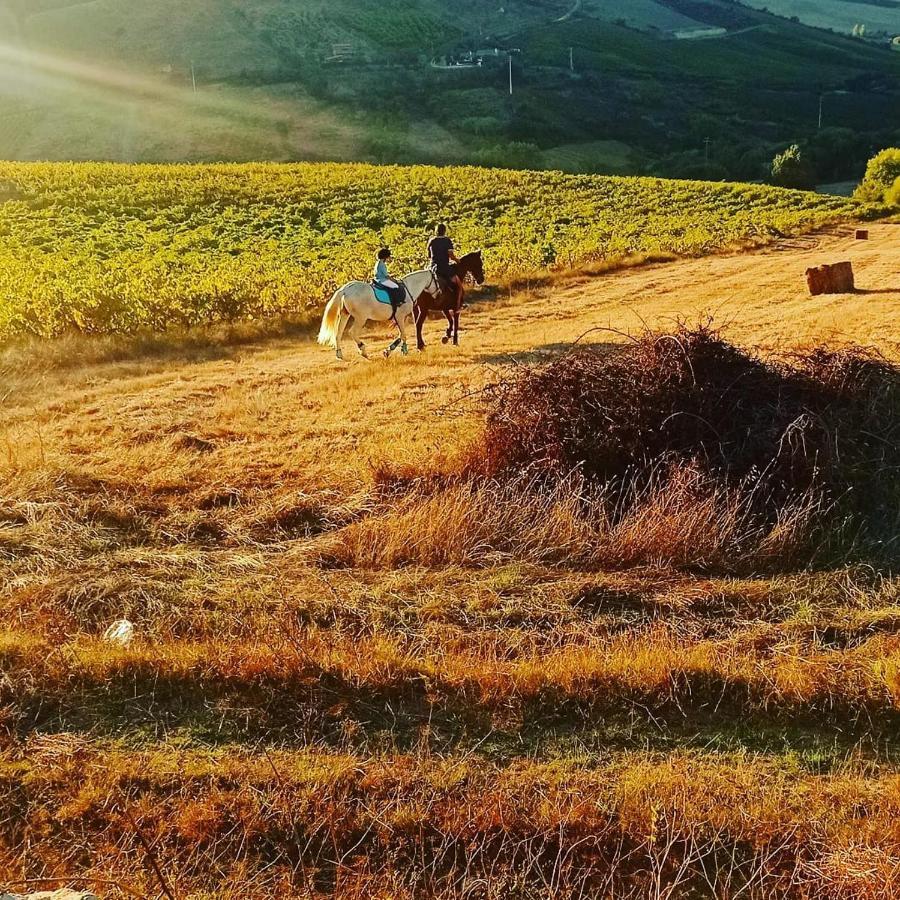 Casinha De Ferias No Campo - Quintinha Dos Cavalos - Arruda Dos Vinhos Sabugos 외부 사진