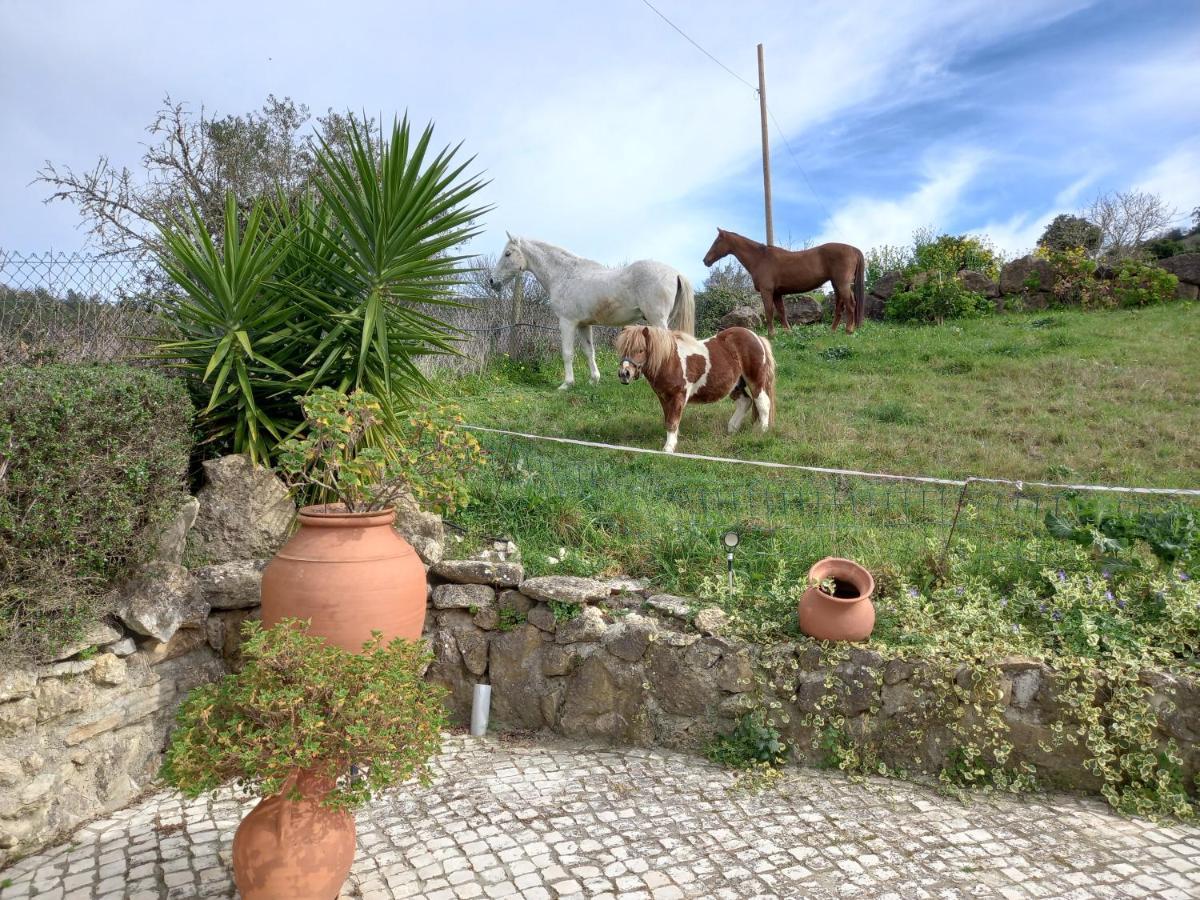 Casinha De Ferias No Campo - Quintinha Dos Cavalos - Arruda Dos Vinhos Sabugos 외부 사진