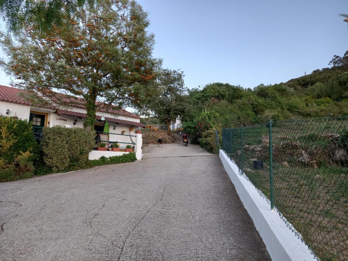 Casinha De Ferias No Campo - Quintinha Dos Cavalos - Arruda Dos Vinhos Sabugos 외부 사진